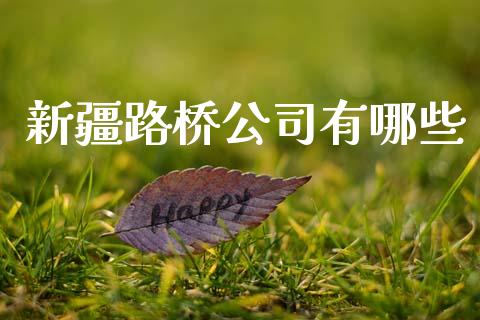 新疆路桥公司有哪些_https://wap.lxcailiao.com_股权投资_第1张