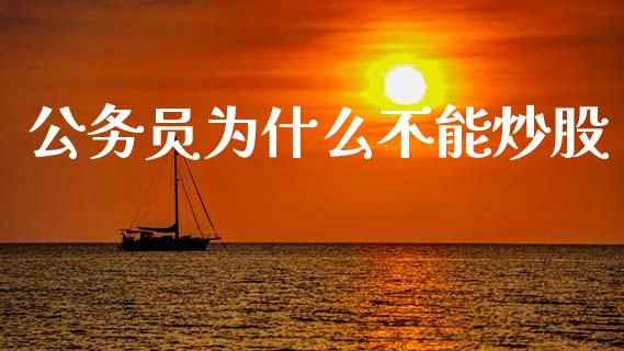 公务员为什么不能炒股_https://wap.lxcailiao.com_融资担保_第1张