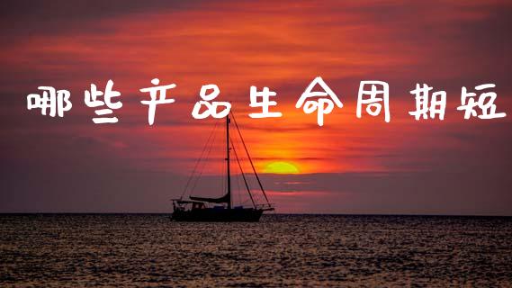 哪些产品生命周期短_https://wap.lxcailiao.com_融资担保_第1张