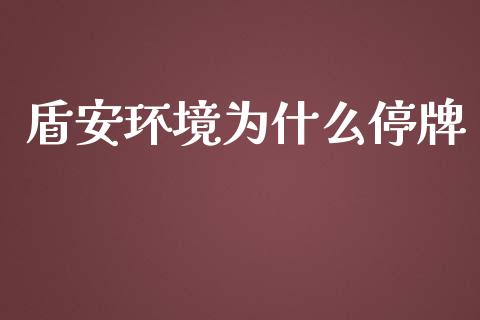 盾安环境为什么停牌_https://wap.lxcailiao.com_金融监管_第1张