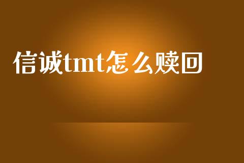 信诚tmt怎么赎回_https://wap.lxcailiao.com_融资担保_第1张