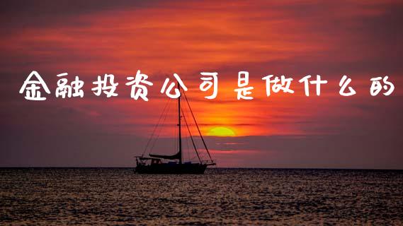 金融投资公司是做什么的_https://wap.lxcailiao.com_融资担保_第1张
