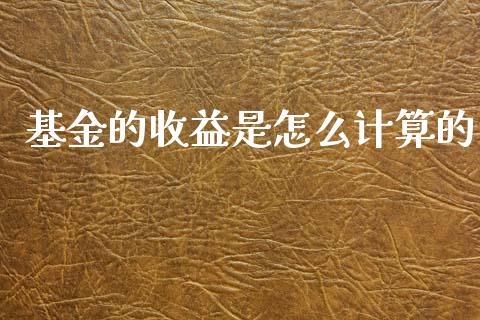 基金的收益是怎么计算的_https://wap.lxcailiao.com_财务管理_第1张