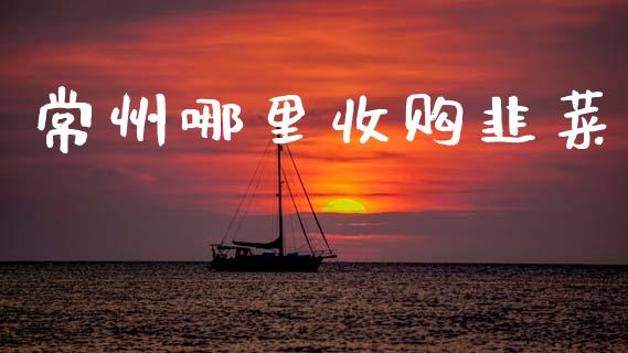 常州哪里收购韭菜_https://wap.lxcailiao.com_财务管理_第1张