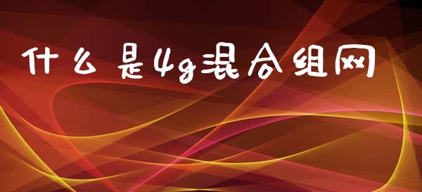 什么是4g混合组网_https://wap.lxcailiao.com_融资担保_第1张