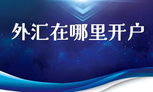 外汇在哪里开户_https://wap.lxcailiao.com_金融监管_第1张