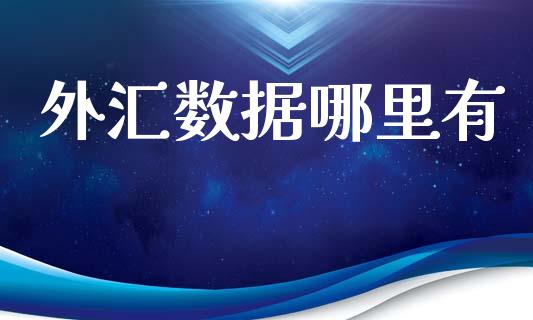 外汇数据哪里有_https://wap.lxcailiao.com_金融监管_第1张
