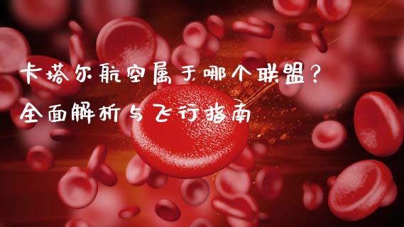 卡塔尔航空属于哪个联盟？全面解析与飞行指南_https://wap.lxcailiao.com_金融监管_第1张