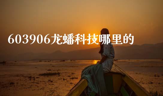 603906龙蟠科技哪里的_https://wap.lxcailiao.com_财务管理_第1张