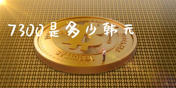7300是多少韩元_https://wap.lxcailiao.com_金融监管_第1张