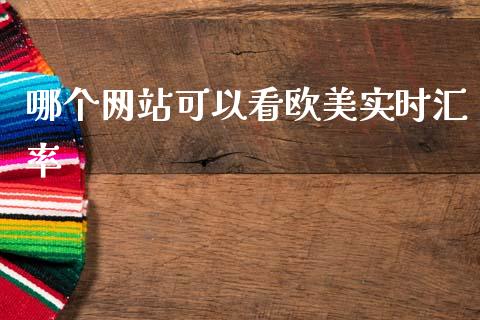 哪个网站可以看欧美实时汇率_https://wap.lxcailiao.com_融资担保_第1张