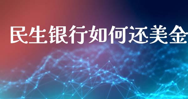 民生银行如何还美金_https://wap.lxcailiao.com_融资担保_第1张