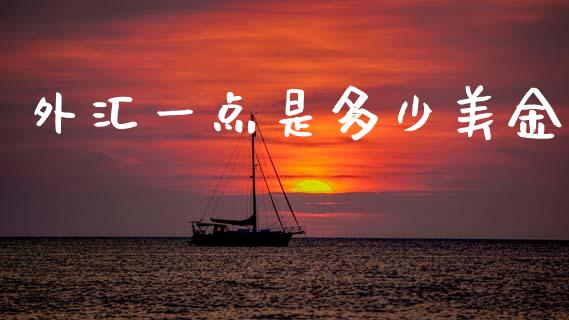 外汇一点是多少美金_https://wap.lxcailiao.com_融资担保_第1张