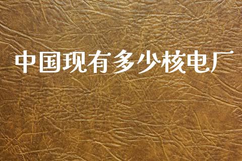 中国现有多少核电厂_https://wap.lxcailiao.com_金融监管_第1张