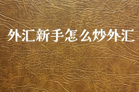 外汇新手怎么炒外汇_https://wap.lxcailiao.com_金融监管_第1张