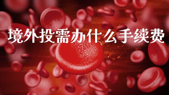 境外投需办什么手续费_https://wap.lxcailiao.com_融资担保_第1张
