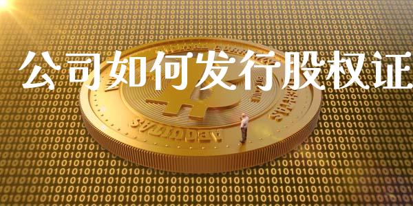 公司如何发行股权证_https://wap.lxcailiao.com_财务管理_第1张