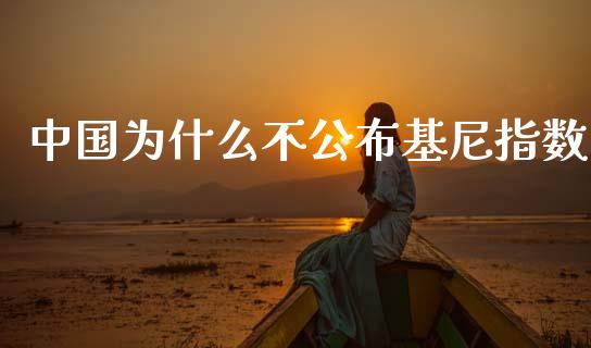 中国为什么不公布基尼指数_https://wap.lxcailiao.com_金融监管_第1张