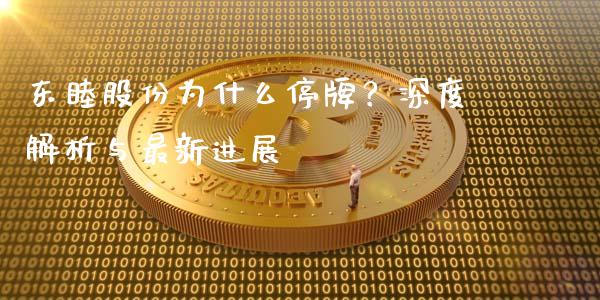东睦股份为什么停牌？深度解析与最新进展_https://wap.lxcailiao.com_股权投资_第1张