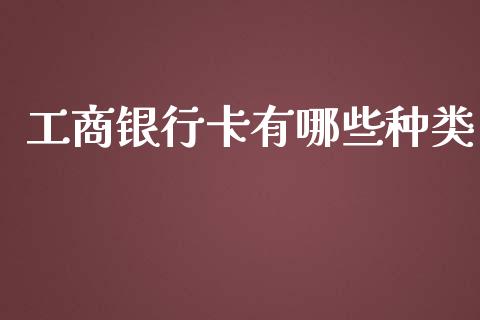 工商银行卡有哪些种类_https://wap.lxcailiao.com_股权投资_第1张
