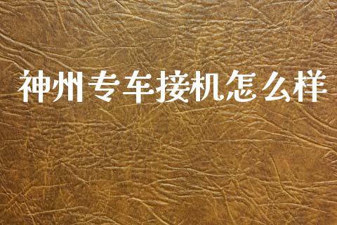 神州专车接机怎么样_https://wap.lxcailiao.com_融资担保_第1张