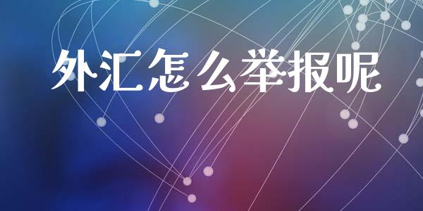外汇怎么举报呢_https://wap.lxcailiao.com_股权投资_第1张