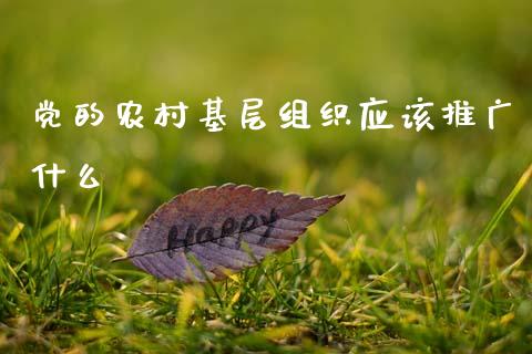 党的农村基层组织应该推广什么_https://wap.lxcailiao.com_金融监管_第1张