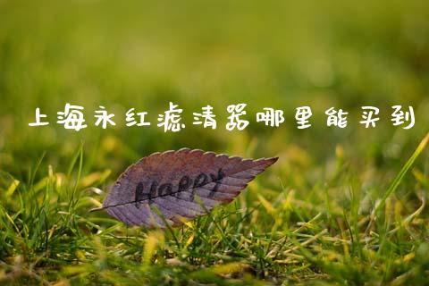 上海永红滤清器哪里能买到_https://wap.lxcailiao.com_金融监管_第1张