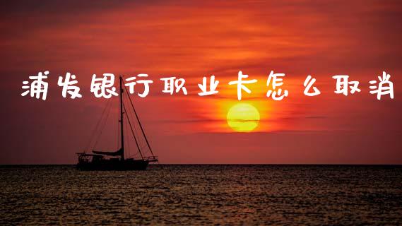 浦发银行职业卡怎么取消_https://wap.lxcailiao.com_股权投资_第1张