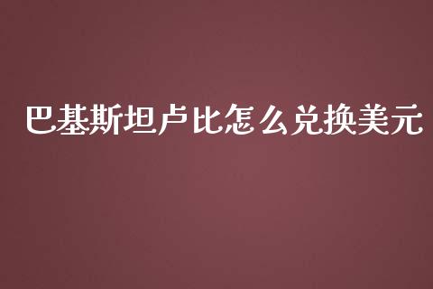 巴基斯坦卢比怎么兑换美元_https://wap.lxcailiao.com_金融监管_第1张