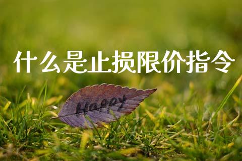 什么是止损限价指令_https://wap.lxcailiao.com_财务管理_第1张