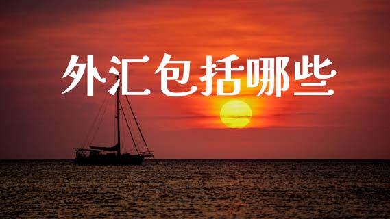 外汇包括哪些_https://wap.lxcailiao.com_股权投资_第1张
