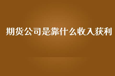 期货公司是靠什么收入获利_https://wap.lxcailiao.com_融资担保_第1张