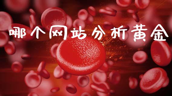 哪个网站分析黄金_https://wap.lxcailiao.com_融资担保_第1张