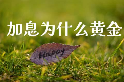 加息为什么黄金_https://wap.lxcailiao.com_股权投资_第1张