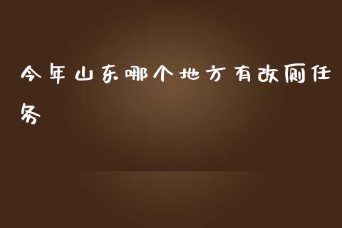 今年山东哪个地方有改厕任务_https://wap.lxcailiao.com_财务管理_第1张