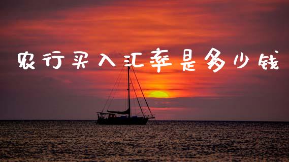 农行买入汇率是多少钱_https://wap.lxcailiao.com_融资担保_第1张