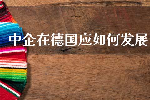 中企在德国应如何发展_https://wap.lxcailiao.com_财务管理_第1张