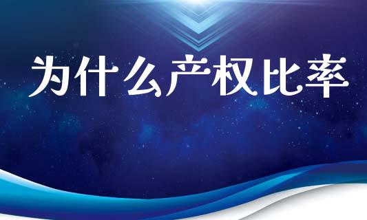 为什么产权比率_https://wap.lxcailiao.com_财务管理_第1张