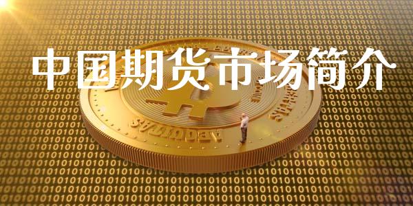 中国期货市场简介_https://wap.lxcailiao.com_金融监管_第1张