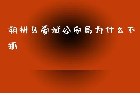 朔州马爱斌公安局为什么不抓_https://wap.lxcailiao.com_融资担保_第1张