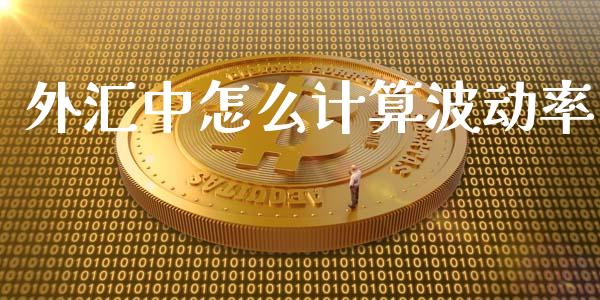 外汇中怎么计算波动率_https://wap.lxcailiao.com_财务管理_第1张