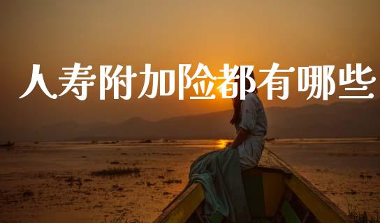 人寿附加险都有哪些_https://wap.lxcailiao.com_股权投资_第1张