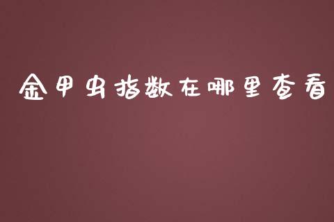 金甲虫指数在哪里查看_https://wap.lxcailiao.com_金融监管_第1张