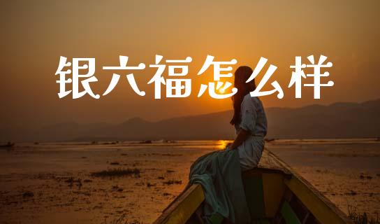 银六福怎么样_https://wap.lxcailiao.com_股权投资_第1张
