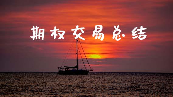 期权交易总结_https://wap.lxcailiao.com_金融监管_第1张