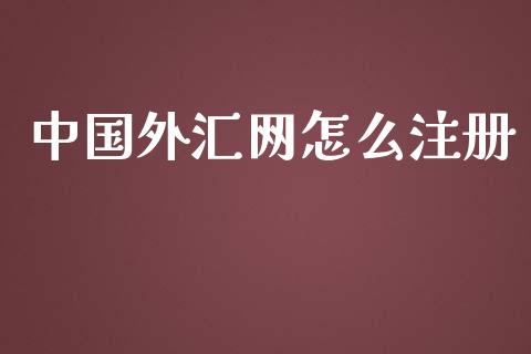 中国外汇网怎么注册_https://wap.lxcailiao.com_金融监管_第1张