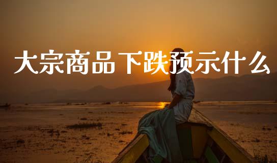 大宗商品下跌预示什么_https://wap.lxcailiao.com_金融监管_第1张