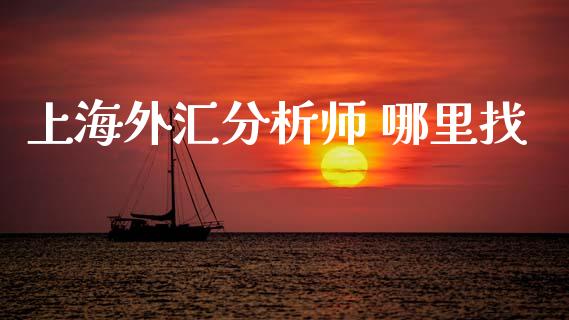 上海外汇分析师 哪里找_https://wap.lxcailiao.com_股权投资_第1张