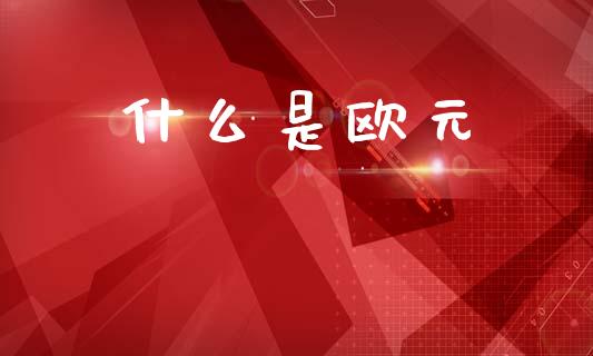 什么是欧元_https://wap.lxcailiao.com_金融监管_第1张